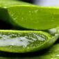 Lidah buaya dapat membantu meredakan gangguan pencernaan seperti mulas dan gangguan pencernaan ringan. (Pixabay/Ingoldfranziska)