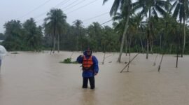 Banjir yang terjadi di Kabupaten Nias Selatan, Sumatera Utara. (Dok, BNPB)