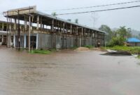 Banjir melanda dua kecamatan di Kabupaten Halmahera Tengah. (Dok. BNPB) 
