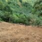 Tanah longsor di Kabupaten Luwu, Sulawesi Selatan. (Dok. BNPB)

