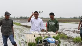Wakil Menteri Pertanian (Wamentan) Sudaryono melakukan penanaman padi di salah satu ladang persawahan di Kabupaten Jepara, Jawa Tengah. (Dok. Kementan)