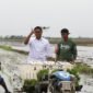 Wakil Menteri Pertanian (Wamentan) Sudaryono melakukan penanaman padi di salah satu ladang persawahan di Kabupaten Jepara, Jawa Tengah. (Dok. Kementan)