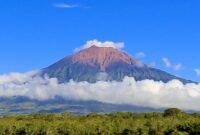 Taman Nasional Kerinci Seblat (TNKS). (Dok. tnkerinciseblat.com)